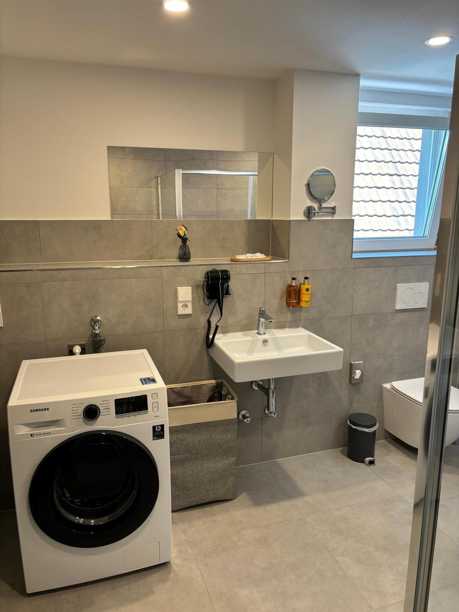Gesamte Wohnung, Kueche, Parkplatz, Terrasse Bad Bellingen Ngoại thất bức ảnh